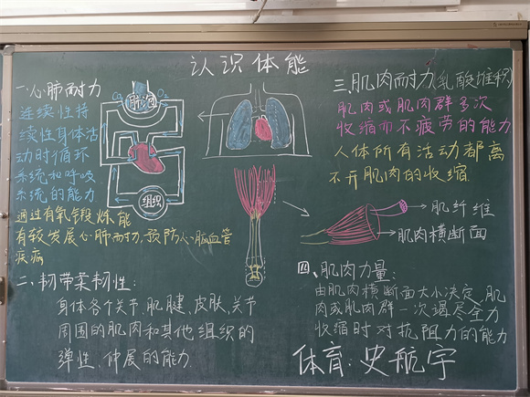 14 体育 史航宇.jpg