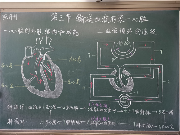 27 生物 苑丹丹.jpg