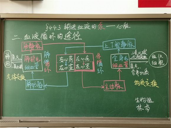 28 生物 林杉.jpg